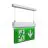 Ansell LED aufgehangen Notausgangsschild  Kestrel Weiß 2W 14lm - 865 Tageslichtweiß